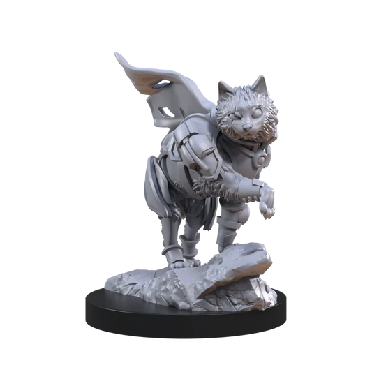 Animal Adventures: Cats of the Faraway Sea