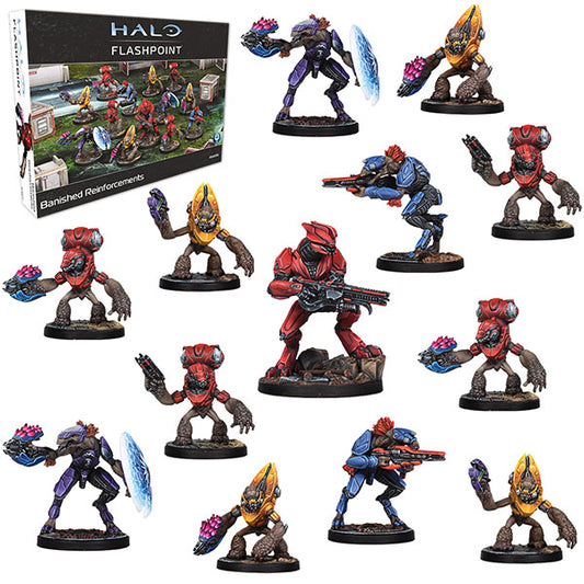 Halo Flashpoint - Banished Reinforcements