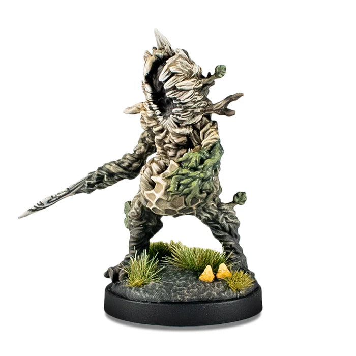 Epic Encounters: Forest of the Damned