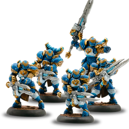 Warmachine: Cygnar Storm Legion Army Box - March of the Storm Divisions