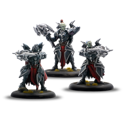 Warmachine: Dusk Fane of Nyrro Army Box – Death’s Whisper