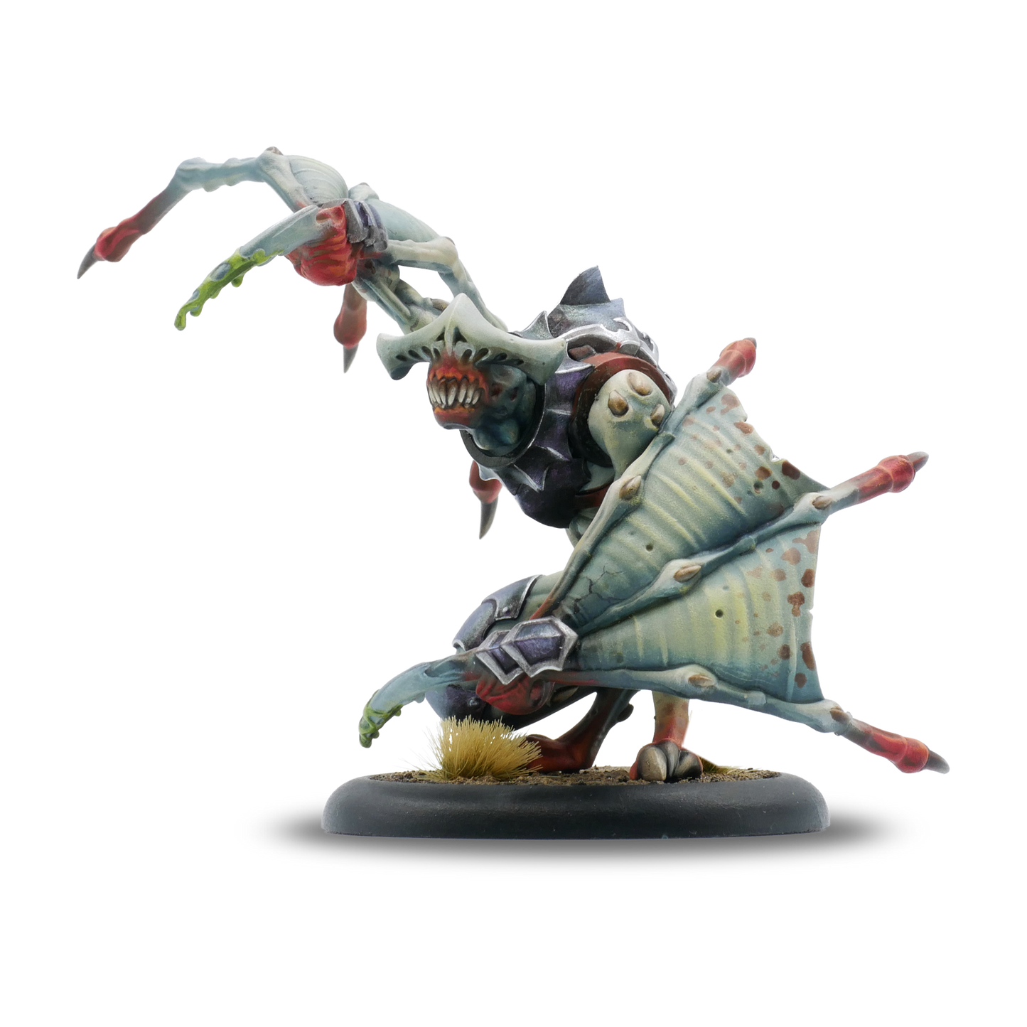 Warmachine: Dusk Fane of Nyrro Army Box – Death’s Whisper