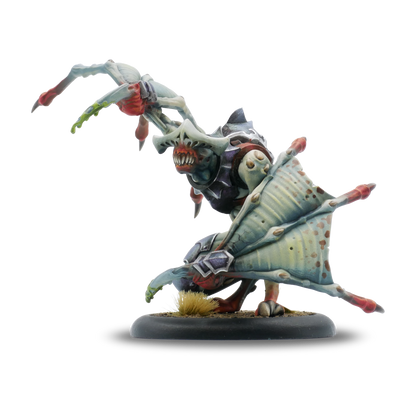 Warmachine: Dusk Fane of Nyrro Army Box – Death’s Whisper