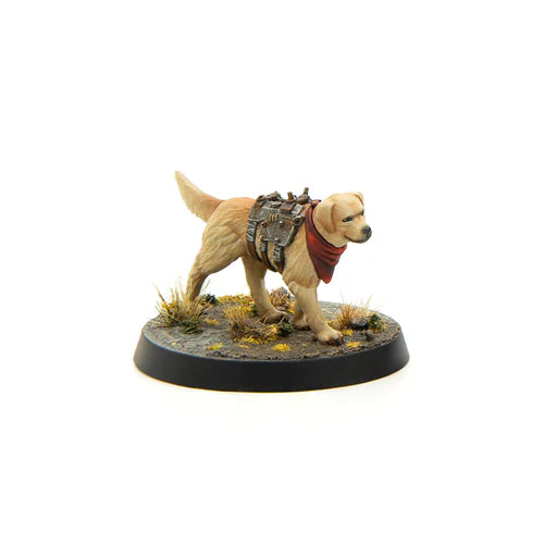 Fallout: Miniatures - Wasteland Survivors Core Set (Plastic)